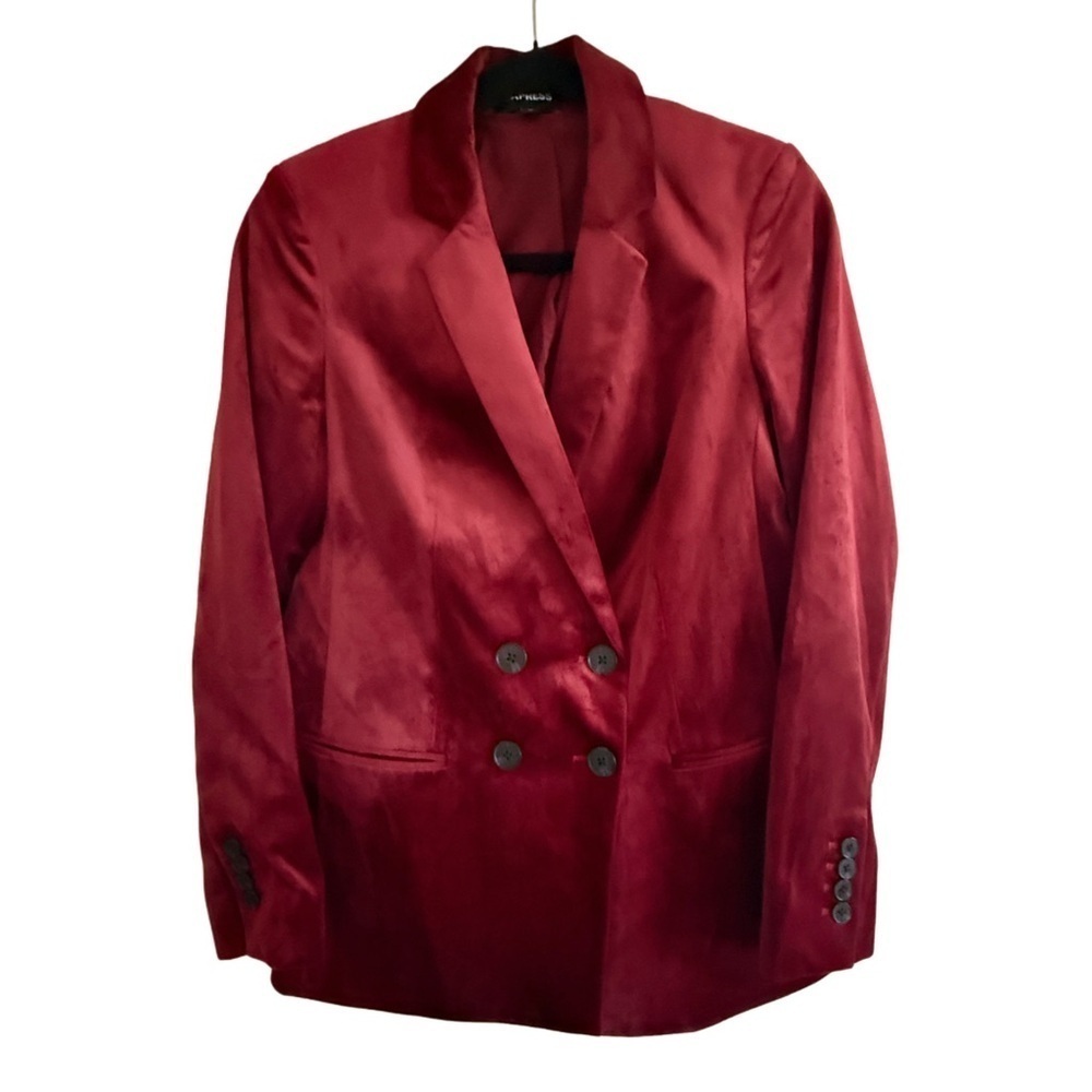 Express Velvet Double Breasted Blazer Womens Size XS Whimsigoth Dark Academia